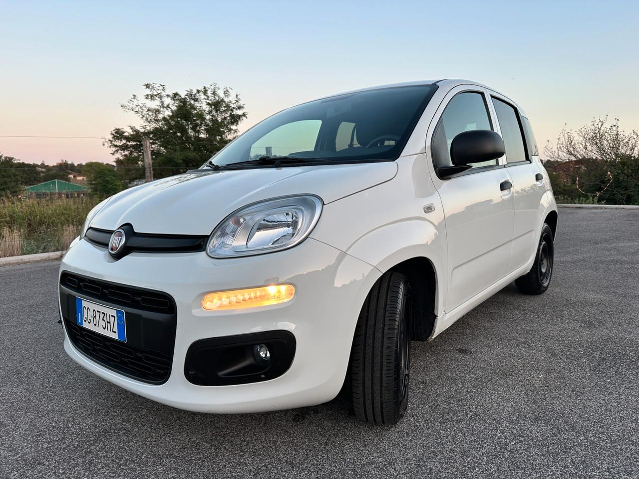 Fiat Panda 1.0 Hybrid Van Iva Deducibile Carplay