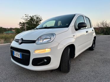 Fiat Panda 1.0 Hybrid Van Iva Deducibile Carplay