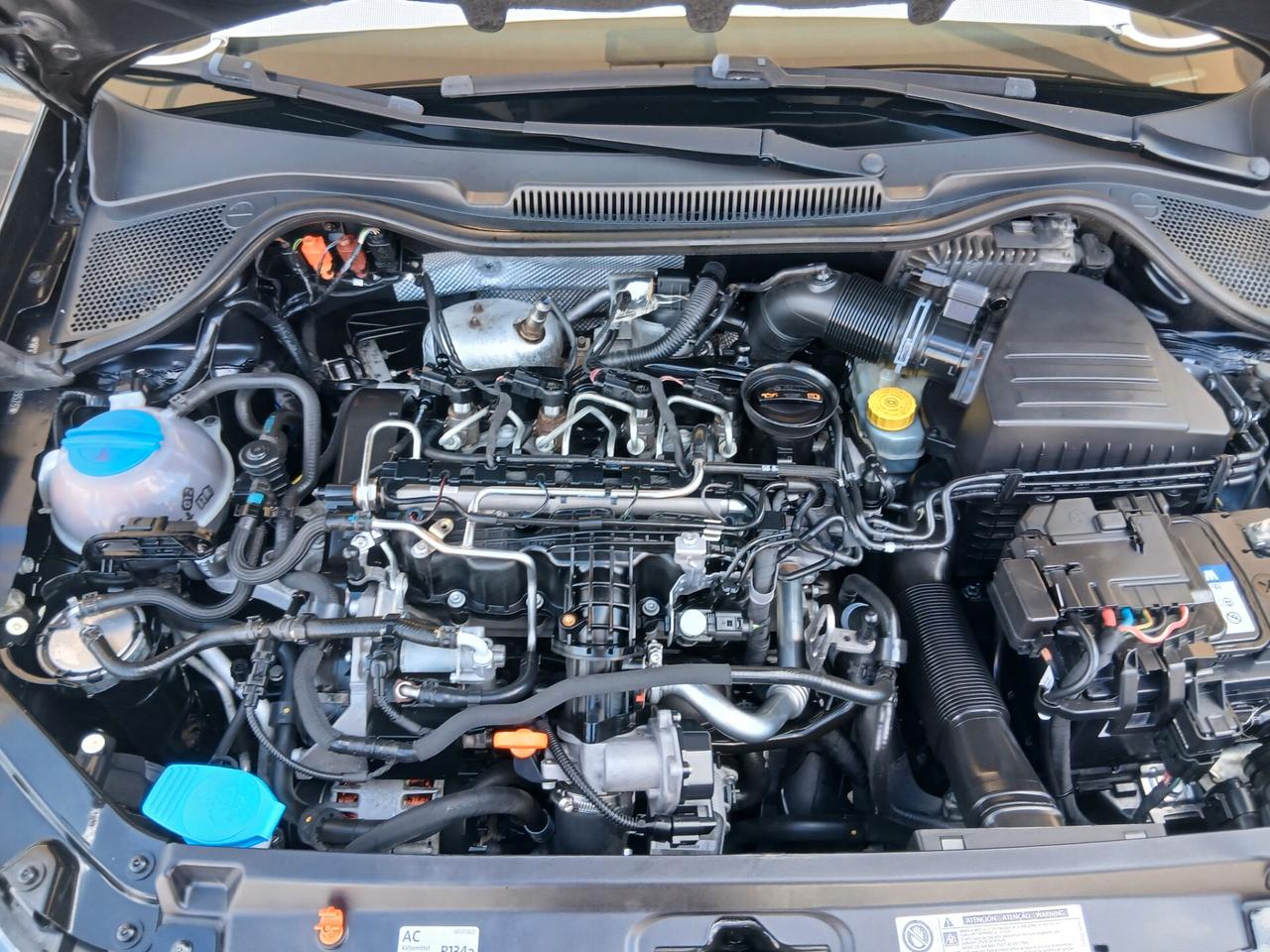 Volkswagen Polo 1.6 TDI 90CV DPF 5 porte 11