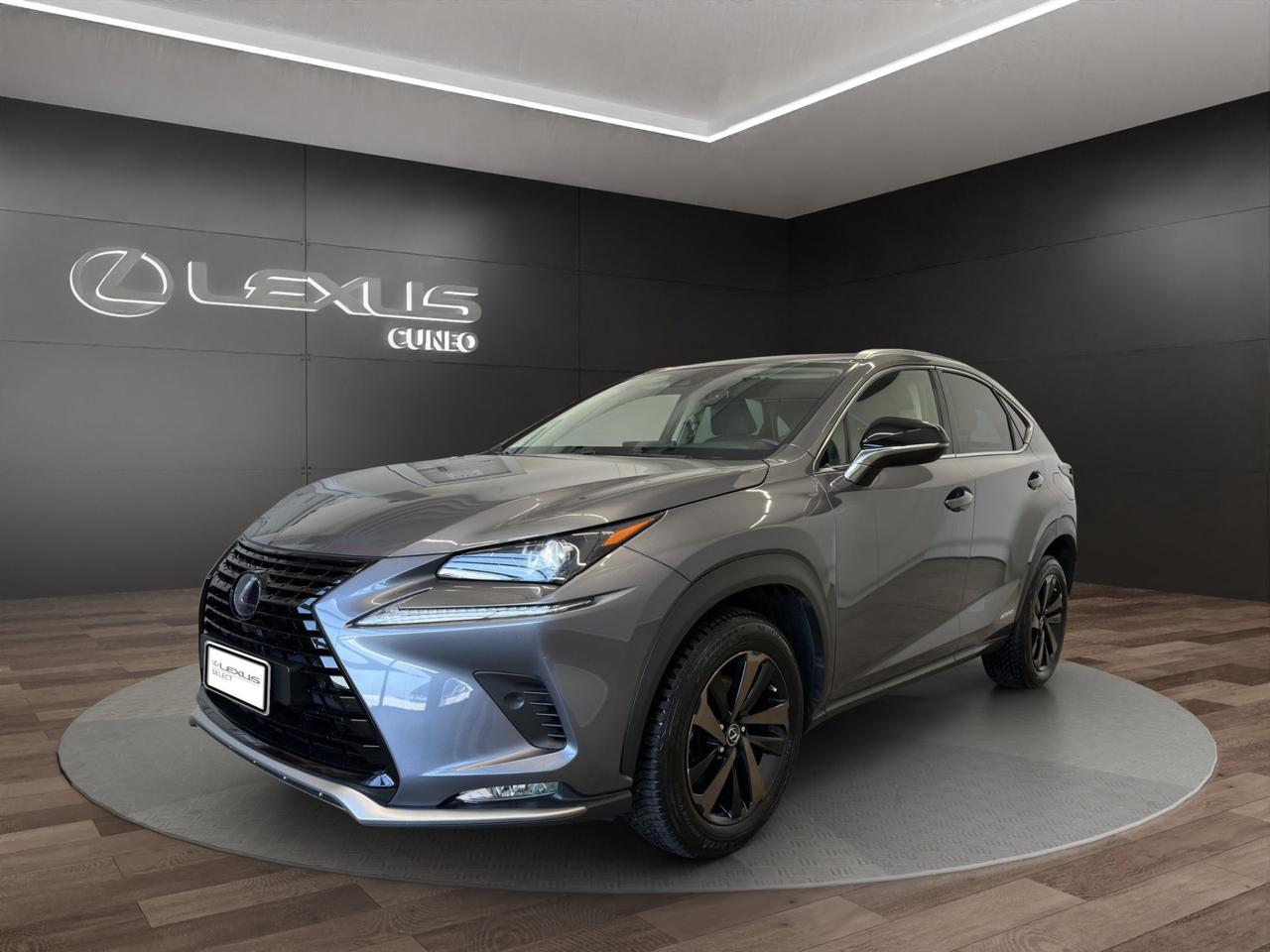 Lexus NX 300h 2.5 Premium 4wd cvt