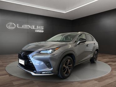 Lexus NX 300h 2.5 Premium 4wd cvt