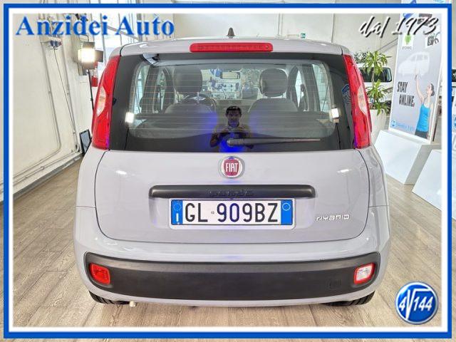 FIAT Panda 1.0 FireFly Hybrid 70 Cv