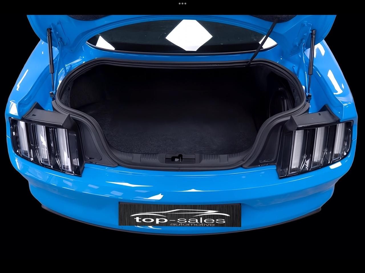 MUSTANG 320 CV PERFETTA
