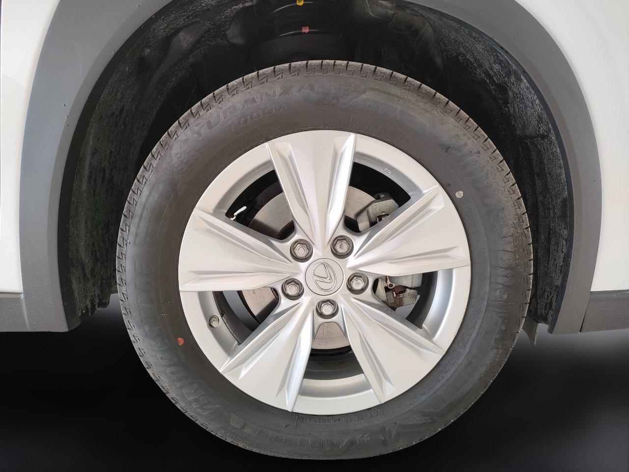 LEXUS UX 2019 - UX 250h 2.0 Business 2wd cvt my20