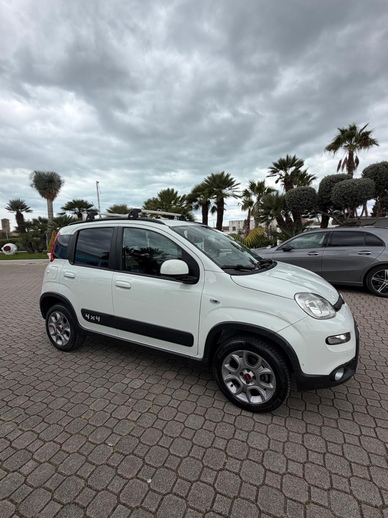 Fiat Panda 1.3 MJT S&S 4x4 Antartica