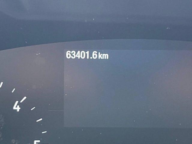 FORD Focus 1.5 EcoBlue 120 CV 5p. Business