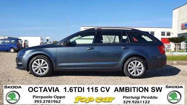 SKODA Octavia 1.6 TDI 115 CV Wagon Ambition