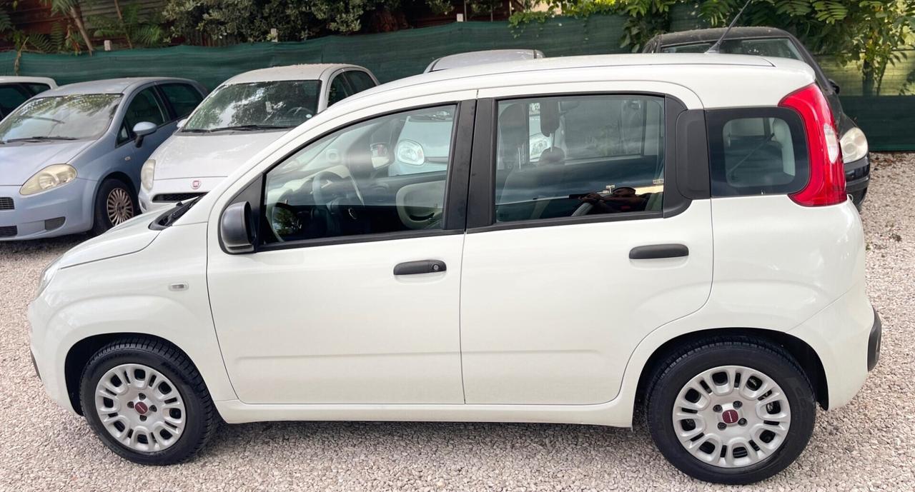 Fiat Panda 1.2 Benzina 2015