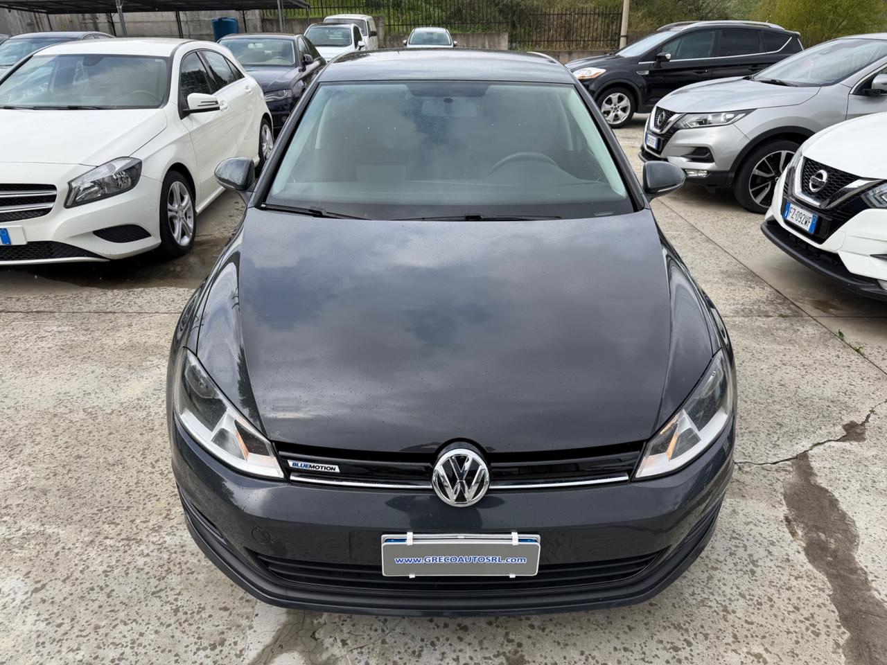 Volkswagen Golf 1.4 TGI 5p. Trendline BlueMotion