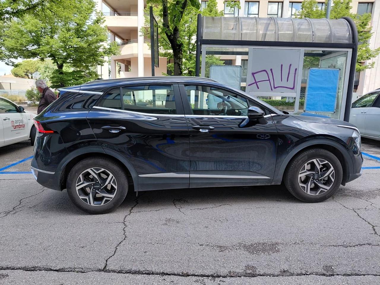 Kia Sportage Business 1.6 T-GDI 48V MHEV #10790