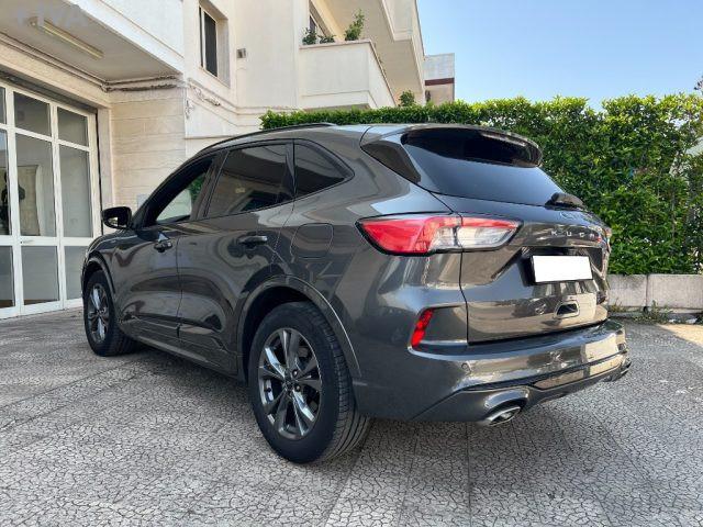 FORD Kuga 1.5 120 CV aut. 2WD ST-Line X
