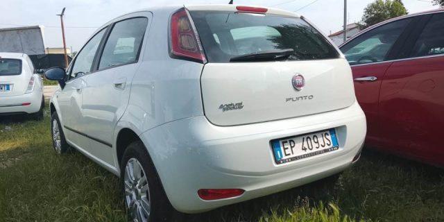 FIAT Punto 1.4 8V 5 porte Natural Power Lounge