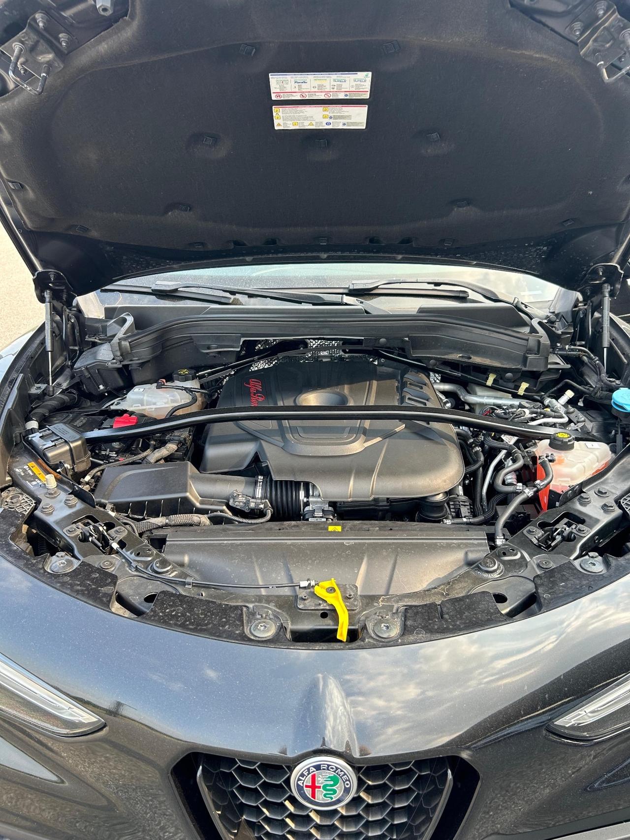 Alfa Romeo Stelvio 2.2 Turbodiesel 210 CV AT8 Q4 Veloce