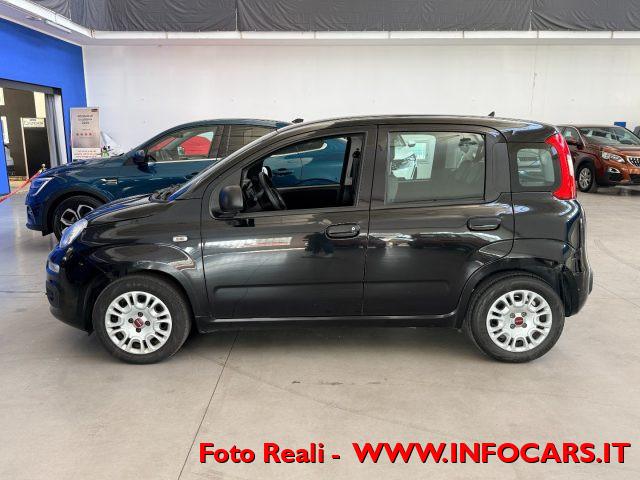 FIAT Panda Hybrid 1.0 FireFly 70 cv - PROMO