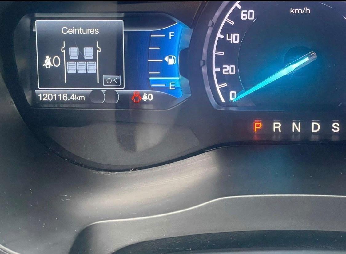 Ford Ranger 2.0 ECOBLUE aut. 213 CV DC Wildtrak 5 posti