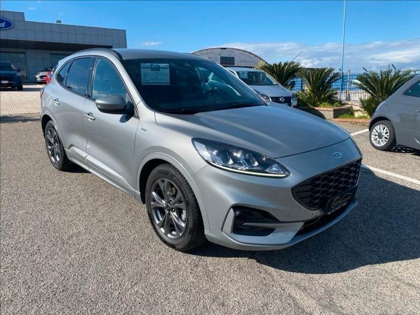Ford Kuga 1.5 EcoBlue 120 CV 2WD ST-Line