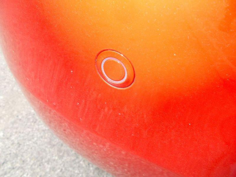 FIAT 500 500 1.0 hybrid Icon 338.7575187 MASSARI MARCO