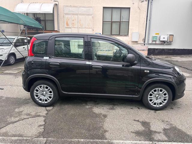 FIAT New Panda Hybrid My25 PROMO CAR SERENITY