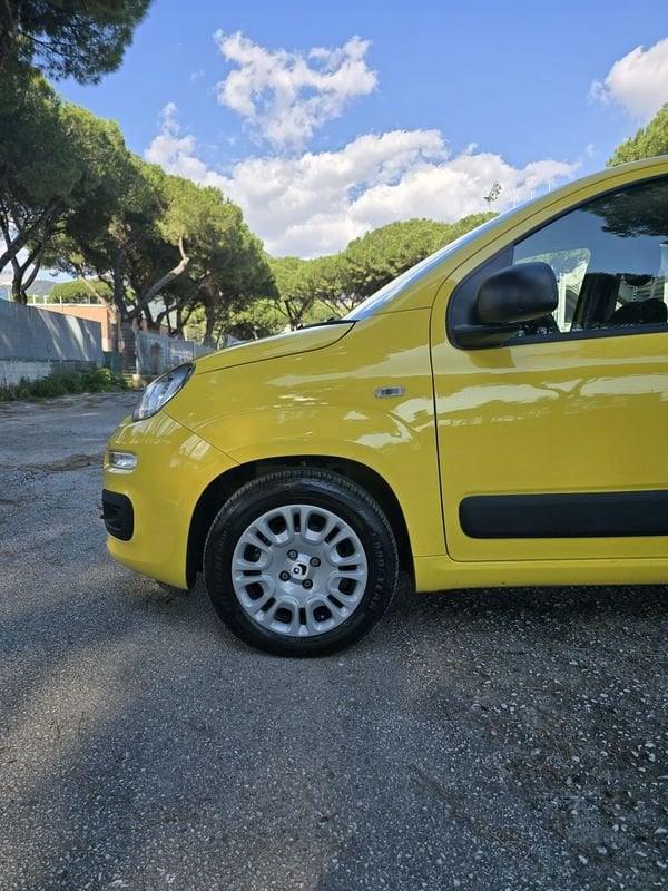 FIAT Panda 1.0 FireFly 70cv S&S Hybrid Pop