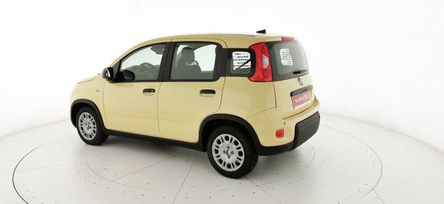 FIAT Panda 1.0 FireFly S&S Hybrid - KM ZERO