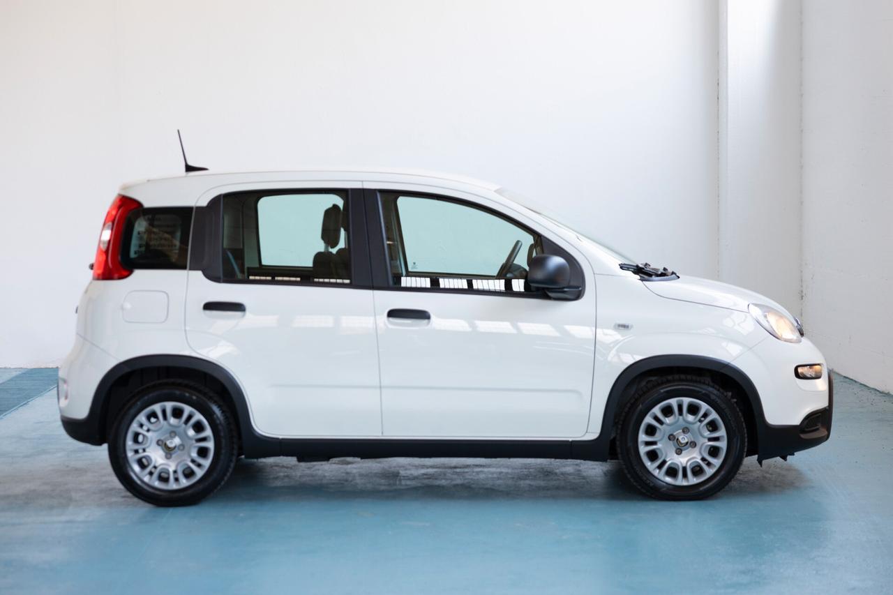 Fiat Panda 1.0 FireFly S&S Hybrid Pandina IVA ESPOSTA