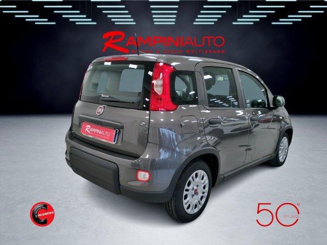 FIAT Panda 1.0 FireFly Hybrid Km 34.000 Pronta Consegna