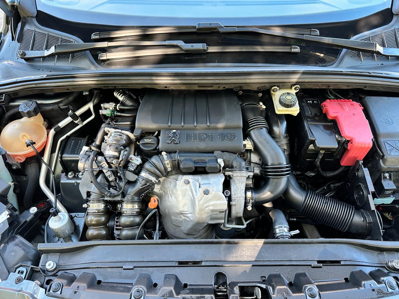 Peugeot 308 1.6 HDi 110CV 5p. Ciel Féline 2008