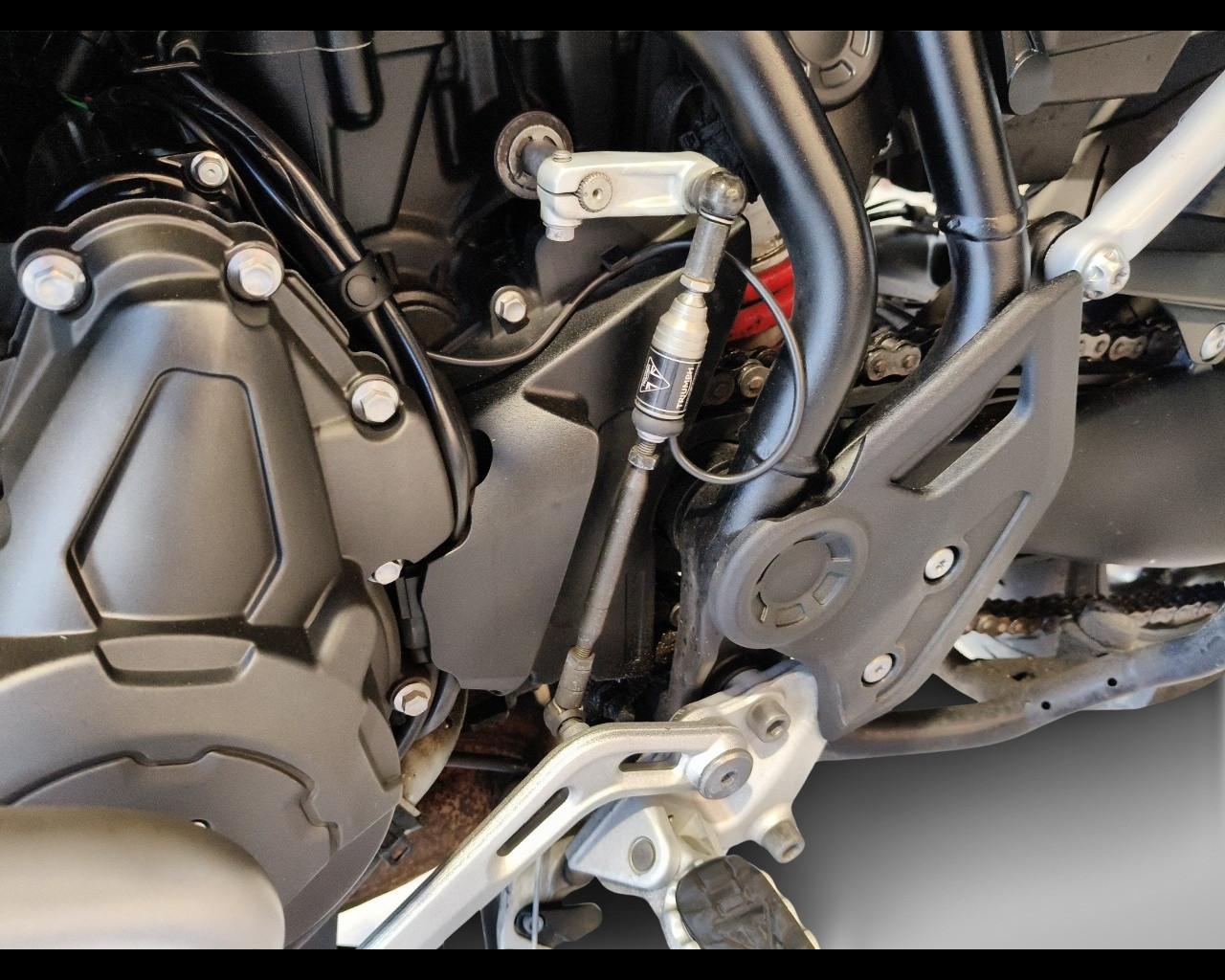 TRIUMPH Tiger 900 - GT Pro