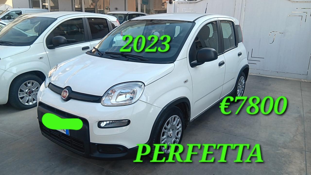 Fiat Panda usata mondialcars 023