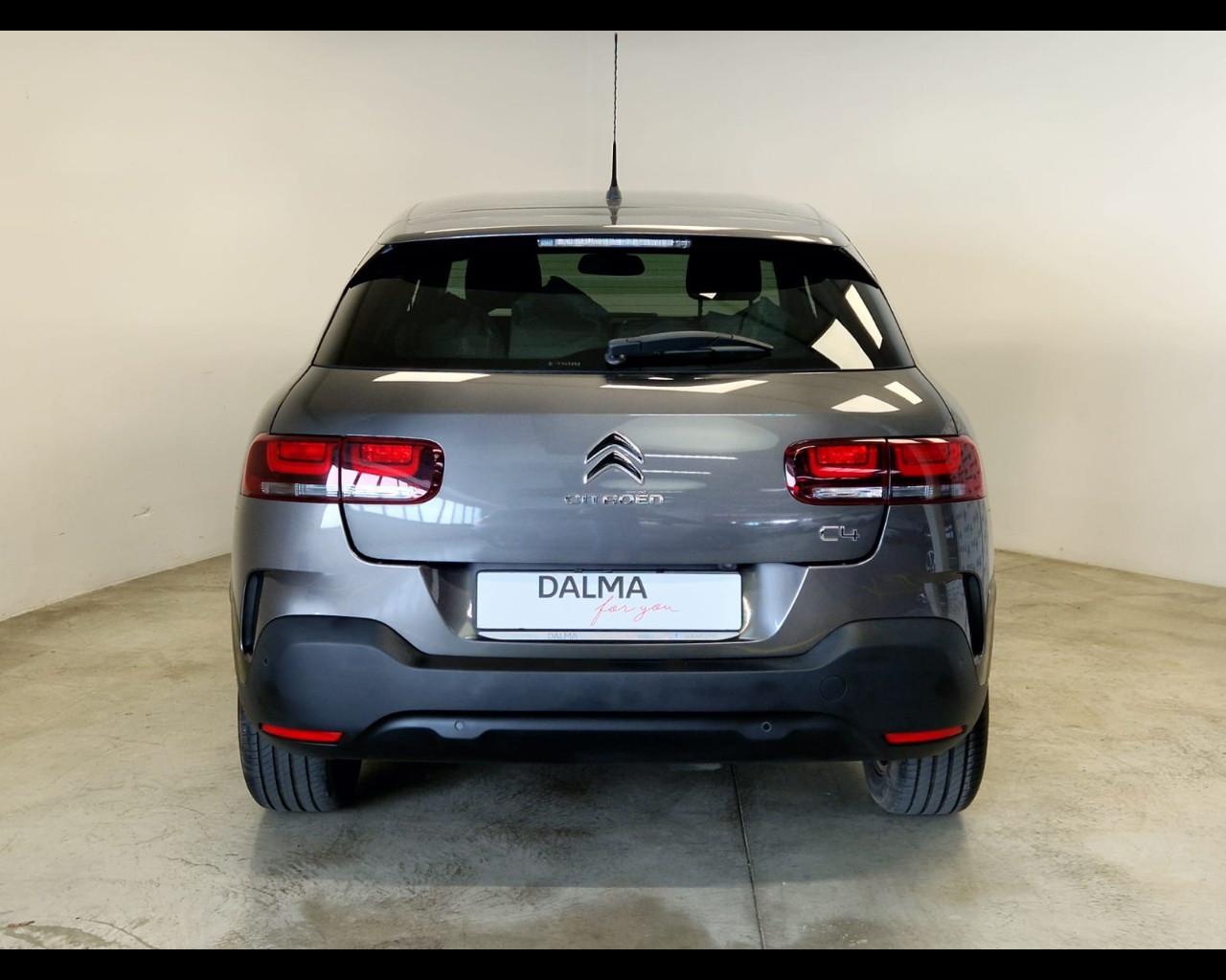 CITROEN C4 Cactus - C4 Cactus 1.5 bluehdi Shine s&s 120cv eat6 my19