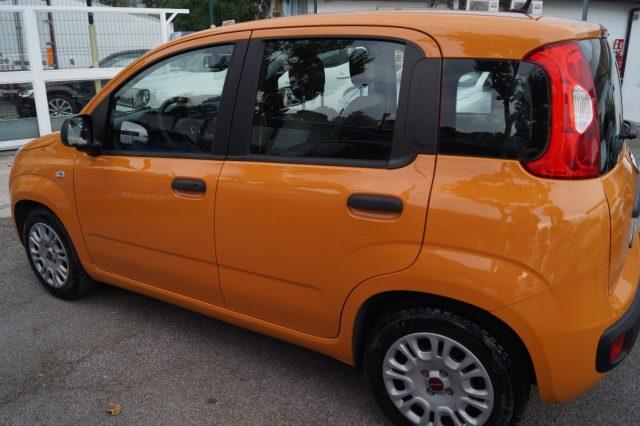 FIAT Panda 1.0 FireFly S&S Hybrid Easy