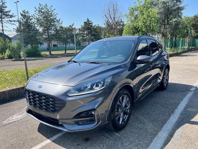 FORD Kuga 2.0 EcoBlue 120 CV aut. 2WD ST-Line