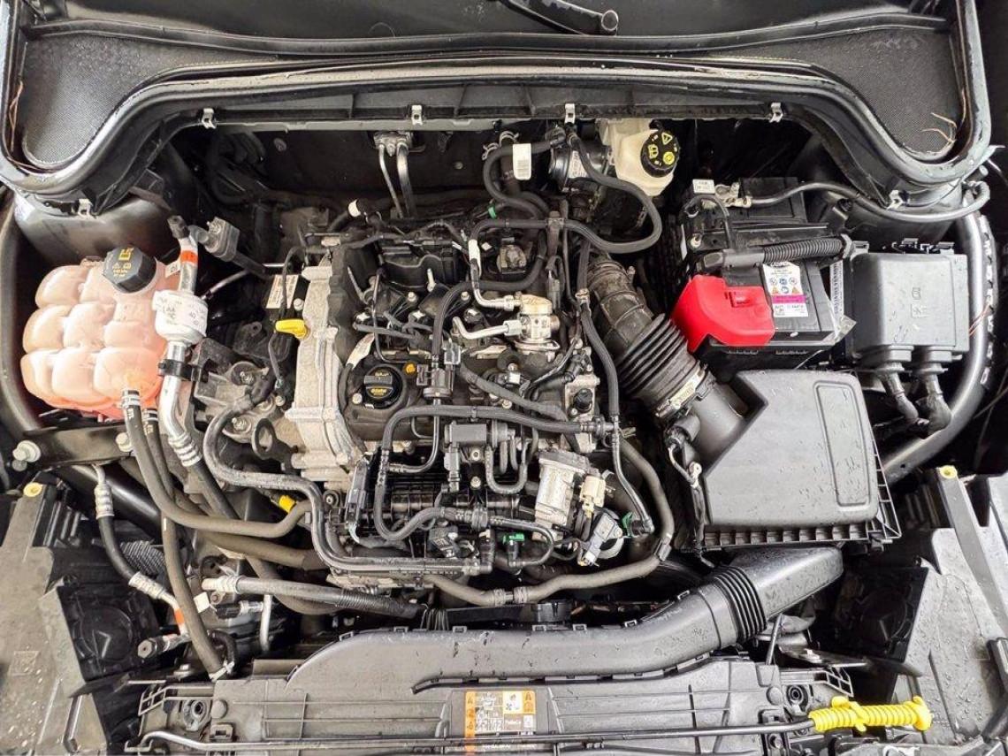 FORD Focus active 1 0 ecoboost h design 125cv