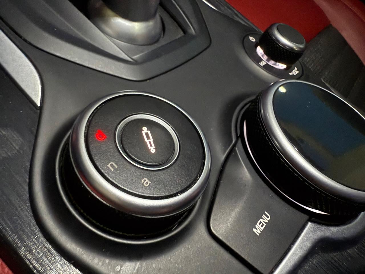 Alfa Romeo Stelvio 2.2D 210 CV Q4 CARTIER/TETTO/R20/TOP2030