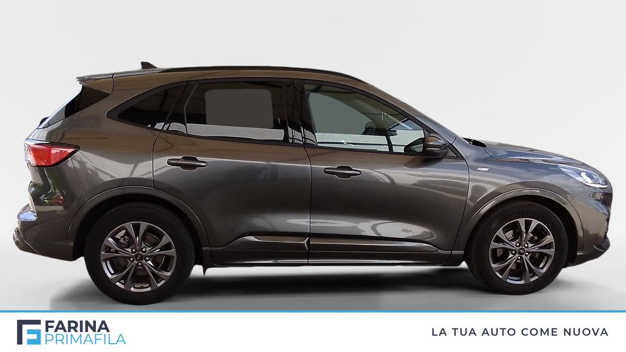 FORD Kuga III 2020 - Kuga 1.5 ecoblue ST-Line 2wd 120cv