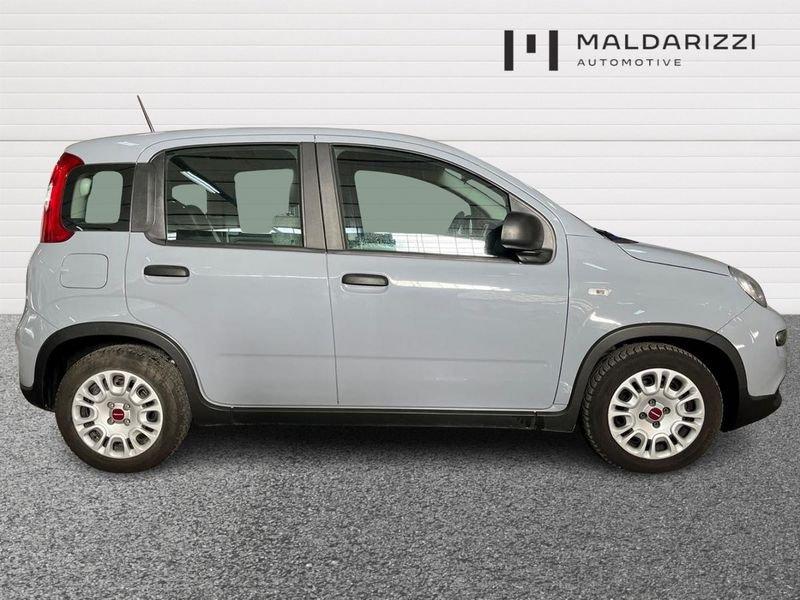 FIAT Panda III 2021 1.0 firefly hybrid s&s 70cv 5p.ti