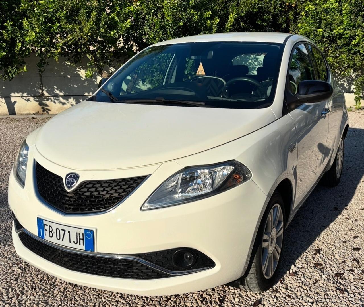 Lancia Ypsilon 1.3 MJT 16V 95 CV 5 porte S&S Silver