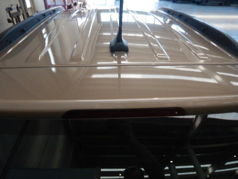 Ford EcoSport 1.5 Ecoblue 100 CV S&S Business