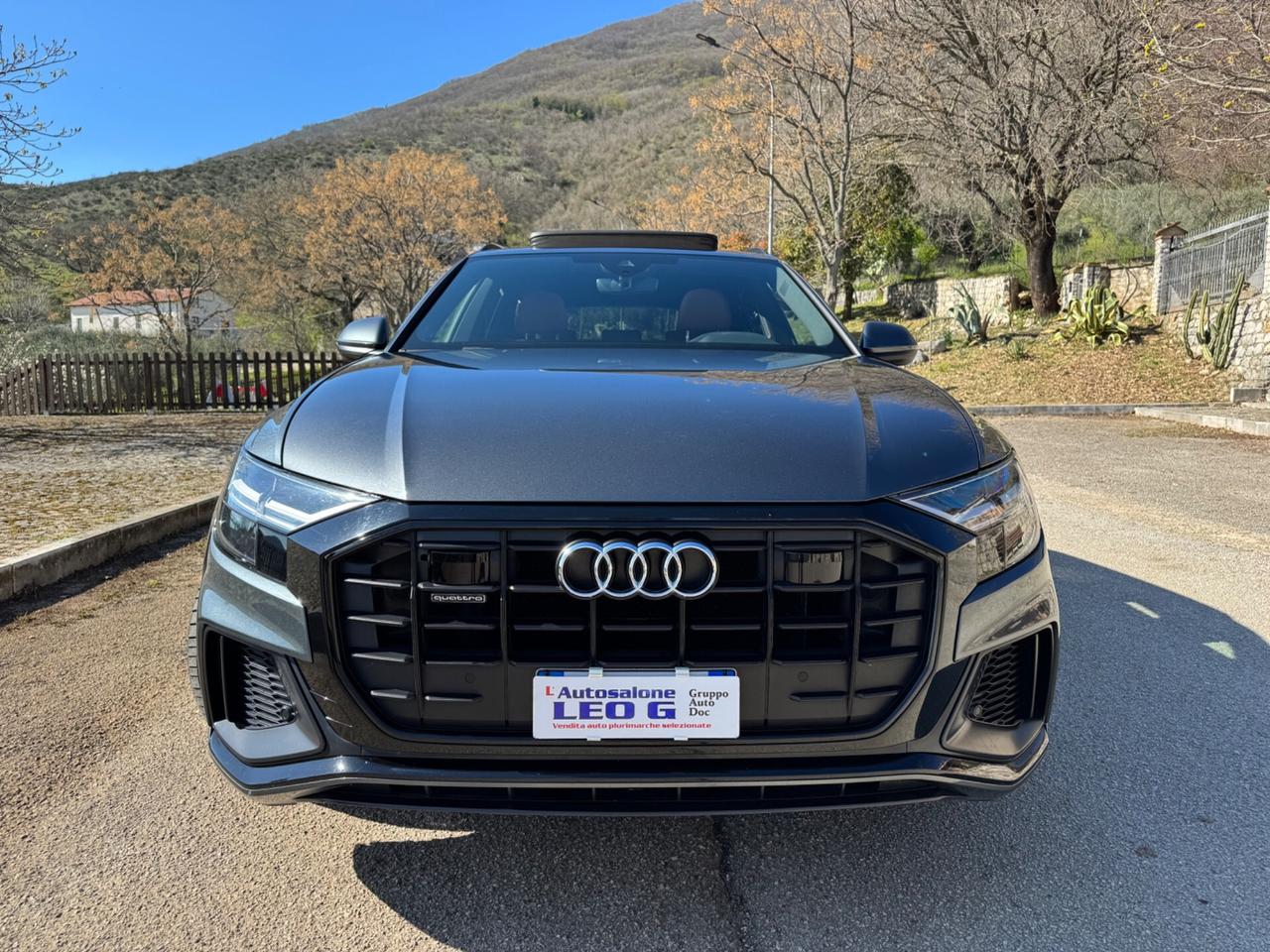 Audi Q8 50 TDI 286 CV quattro tiptronic Sport