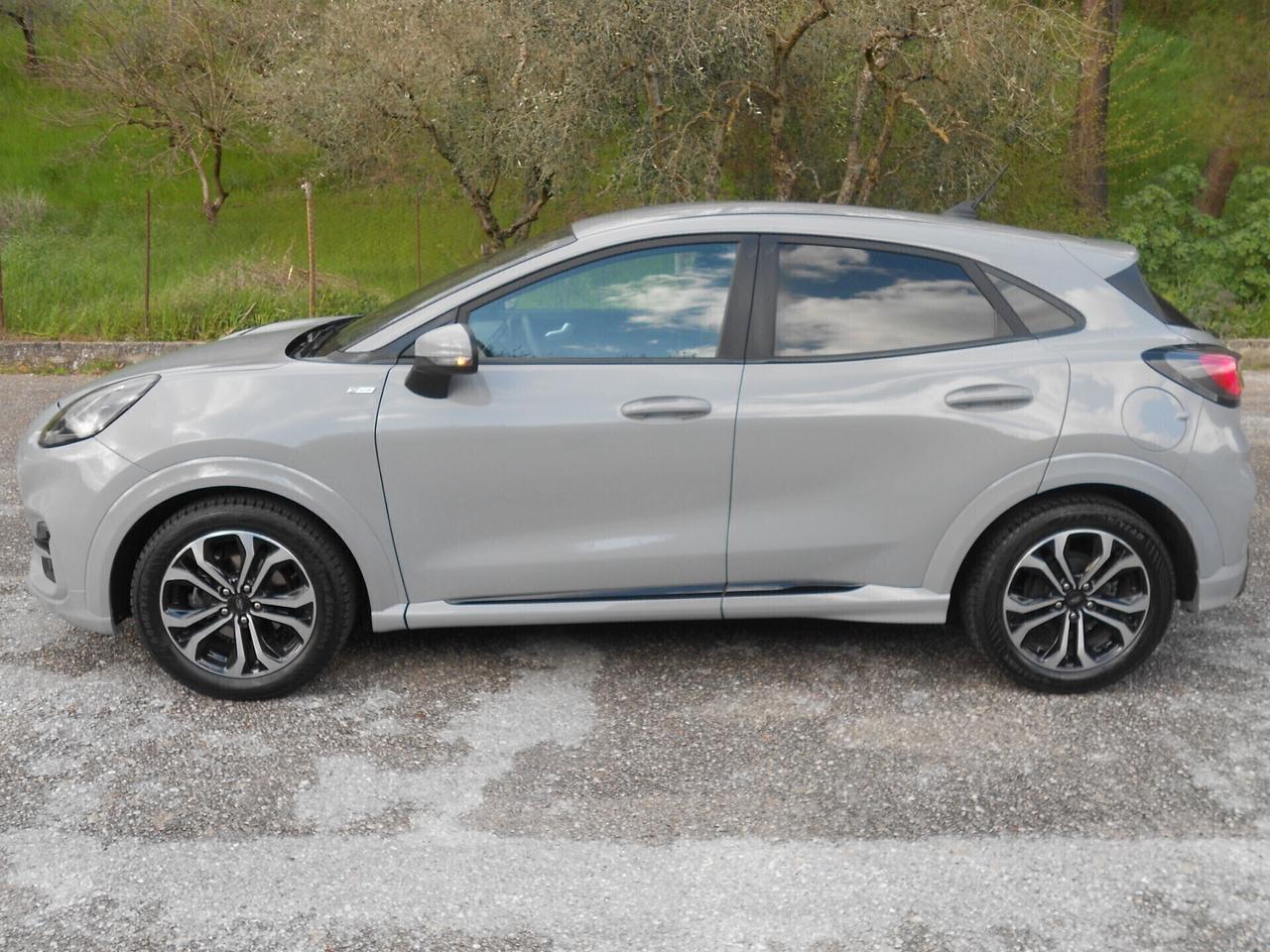 PUMA 1.0,HYBRIDA(NUOVA-STRAFULL)E6D-ISC,6m