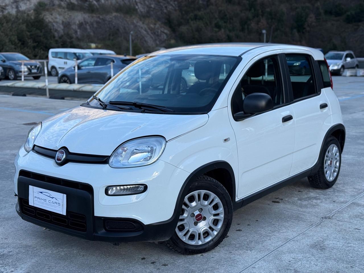 FIAT PANDA 1.0 BENZINA/IBRIDA 70CV PERFETTA