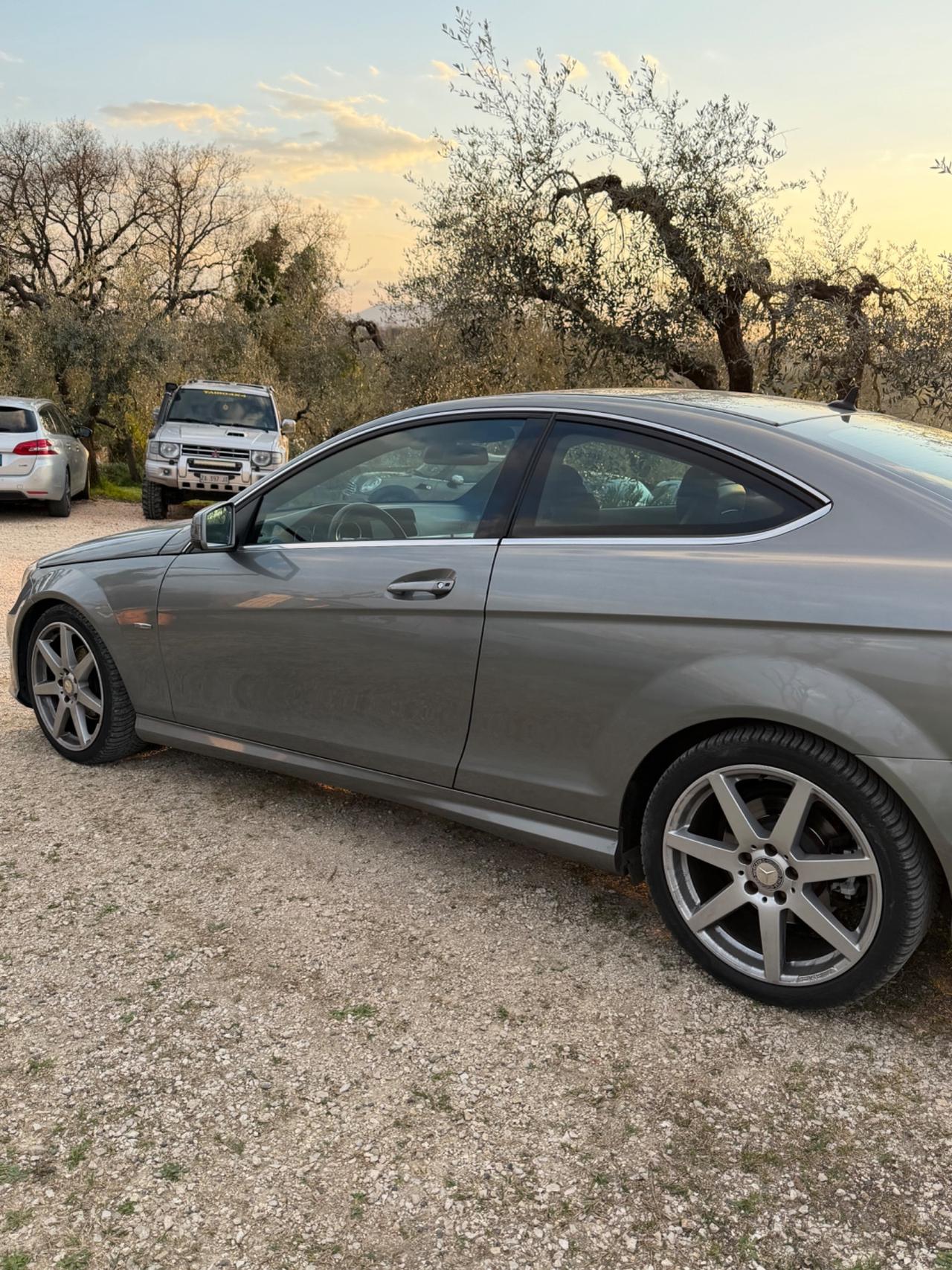 Mercedes-benz C 220 CDI BlueEFFICIENCY Coupé Avantgarde