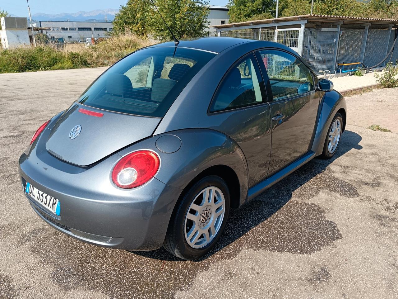 Volkswagen New Beetle 1.9 TDI 105CV
