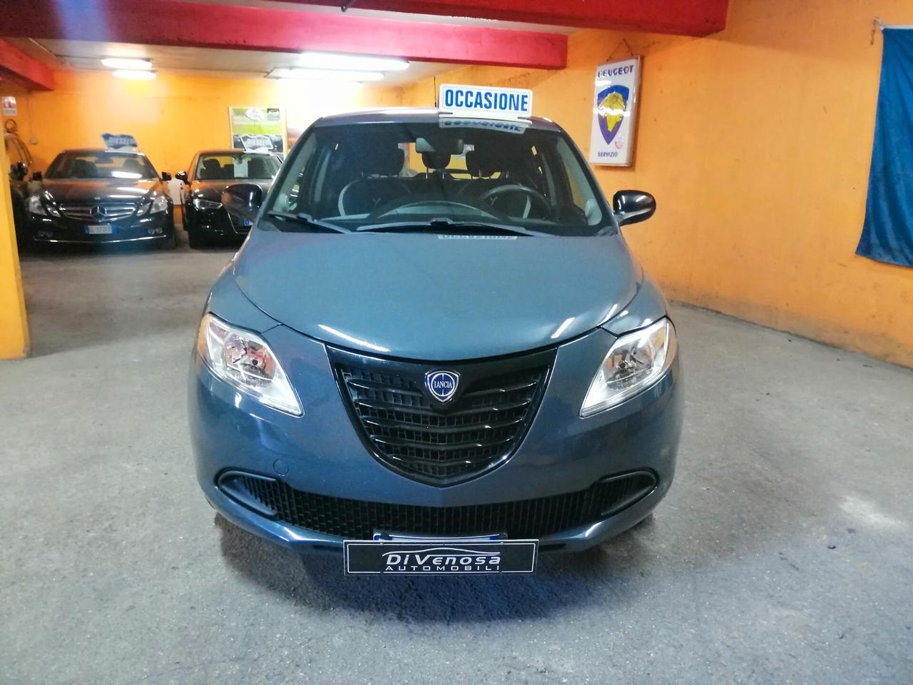 Lancia Ypsilon 1.2 69 CV 5 porte GPL Ecochic Elefantino