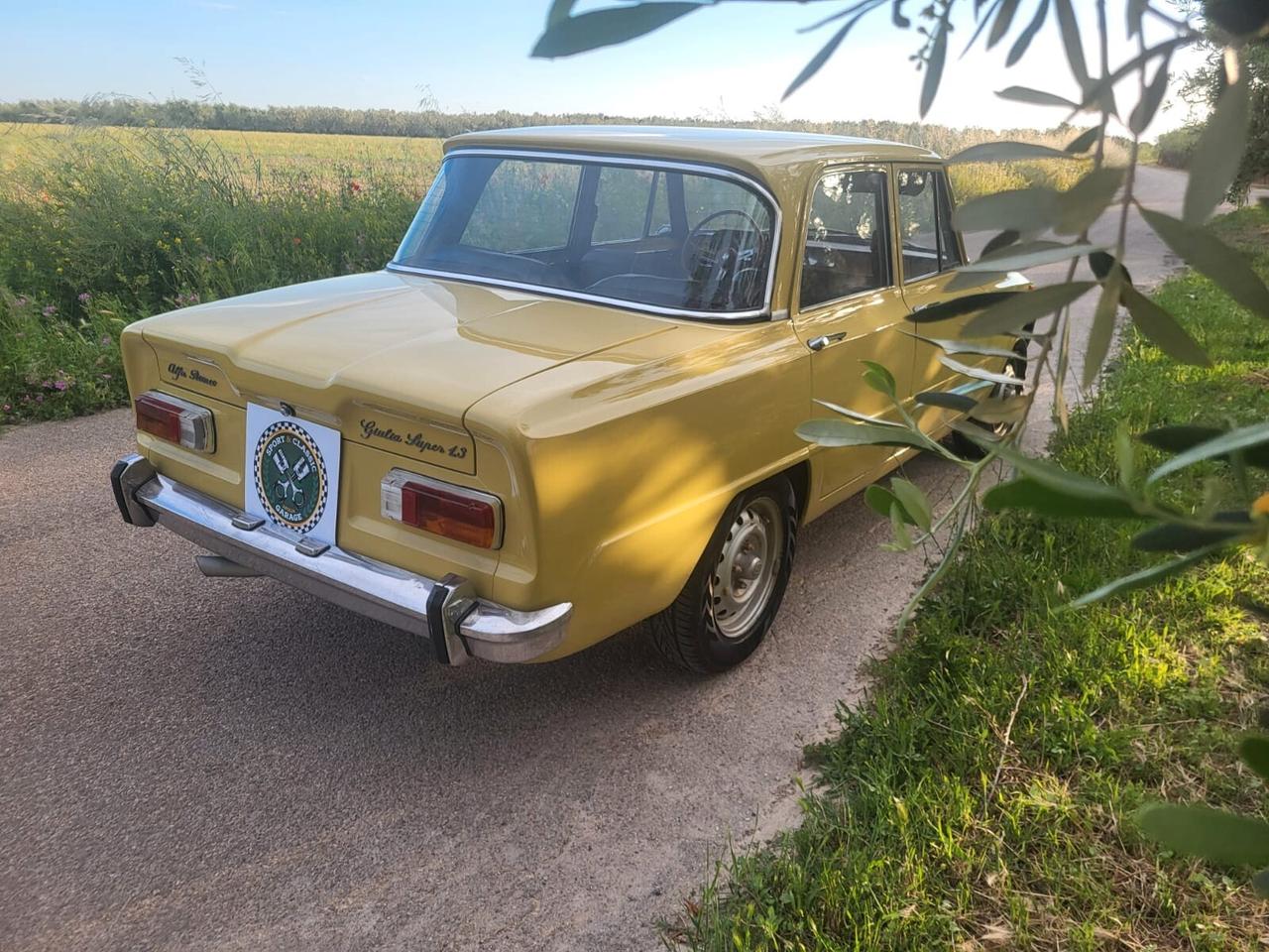 Alfa Romeo Giulia Super 1,3 1973