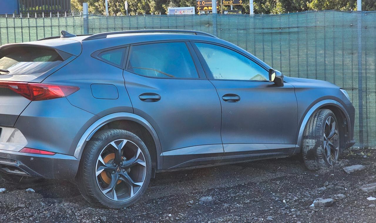 ALLUVIONATA Cupra Formentor 2.0 TDI 4Drive DSG