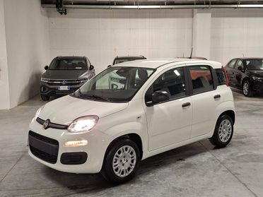 Fiat Panda 1.0 FireFly Hybrid 70CV Icon Km.0 (296)