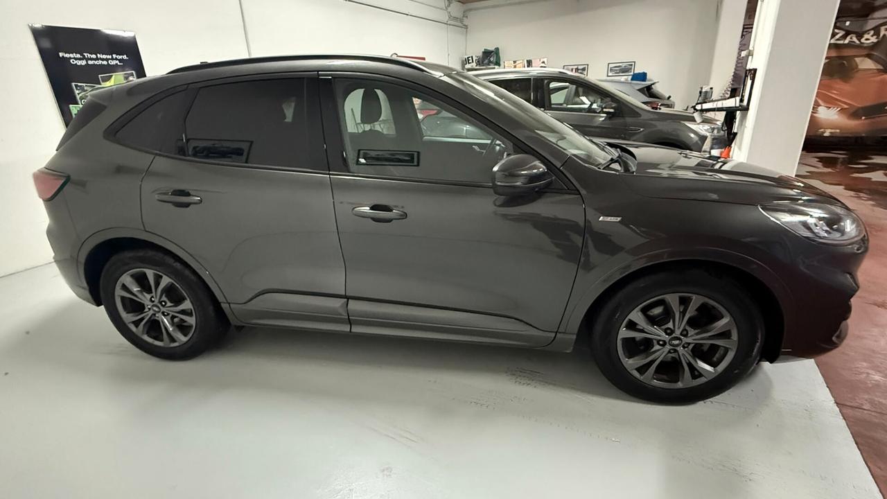 Ford Kuga 1.5 EcoBlue 120 CV 2WD ST-Line x