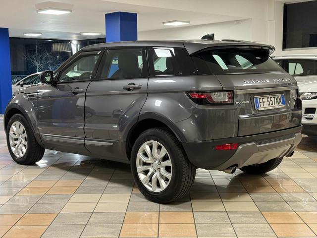 LAND ROVER Range Rover Evoque 2.0 TD4 150 CV 5p. Business Edition SE