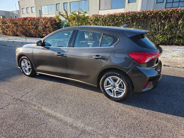 FORD Focus 1.5 EcoBlue 120 CV 5p. Business